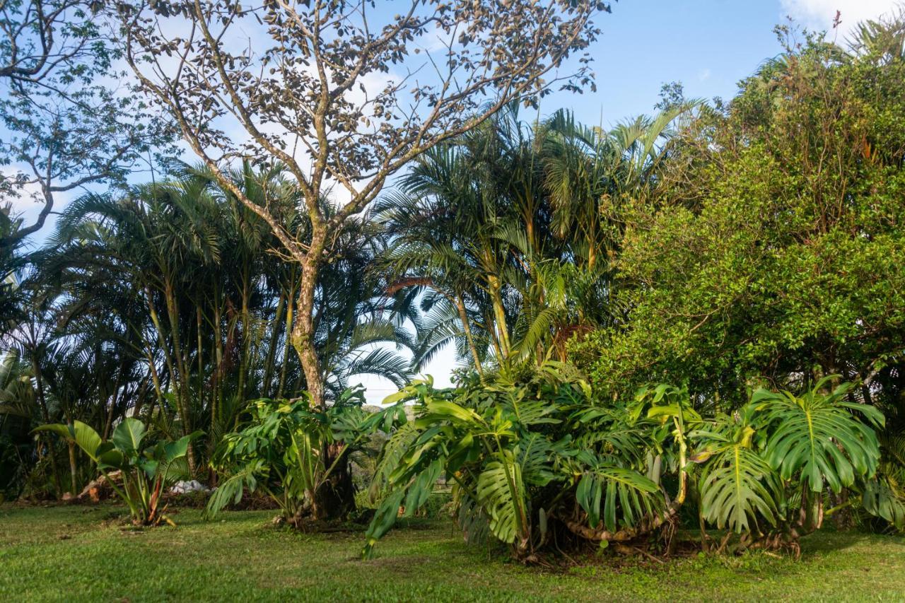 Vista Lago Arenal Piedras Exteriör bild